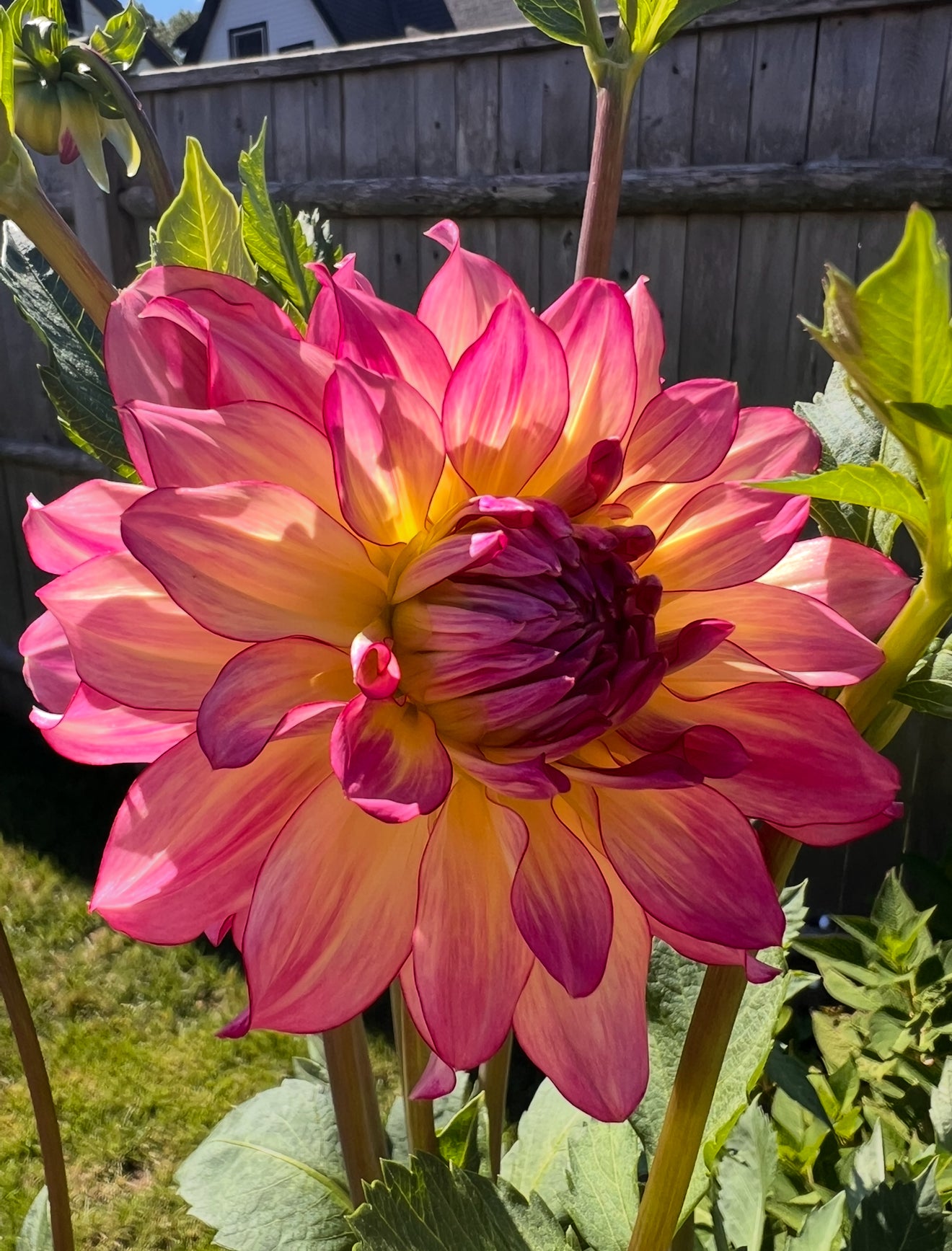AC Twisp – Robbins Flower Farm